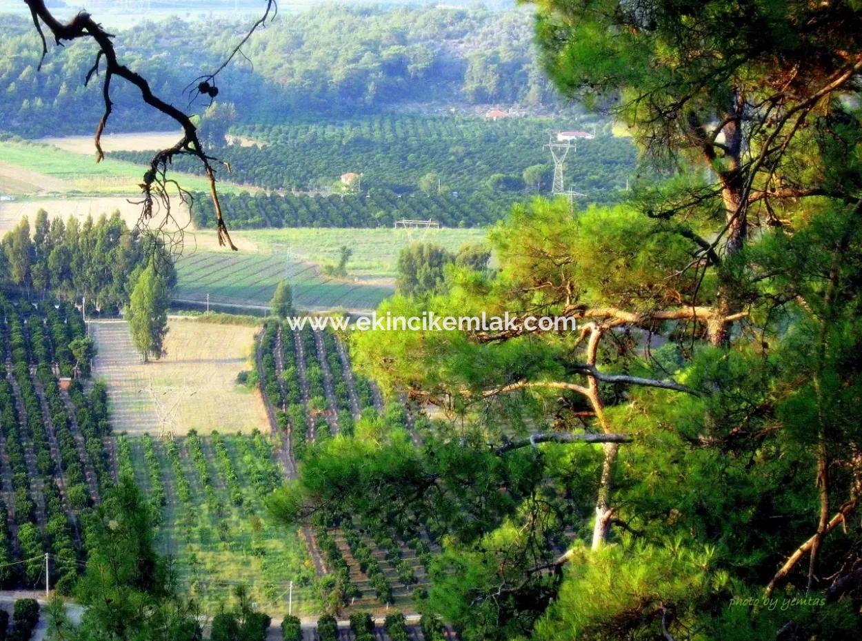 Gökçe Satılık Arsa Gökçe 21671M2 Satılık Tarla