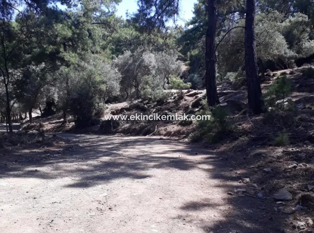 Çandır Satılık Arsa Çandır İztuzudaya Yakın 2367M2 Satılık 2B