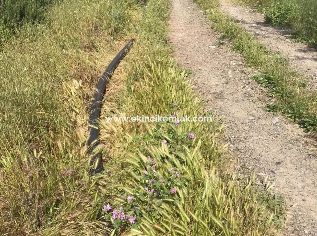 Seydikemer Korubükün Satılık 76000M2 Ciftlik Arazisi