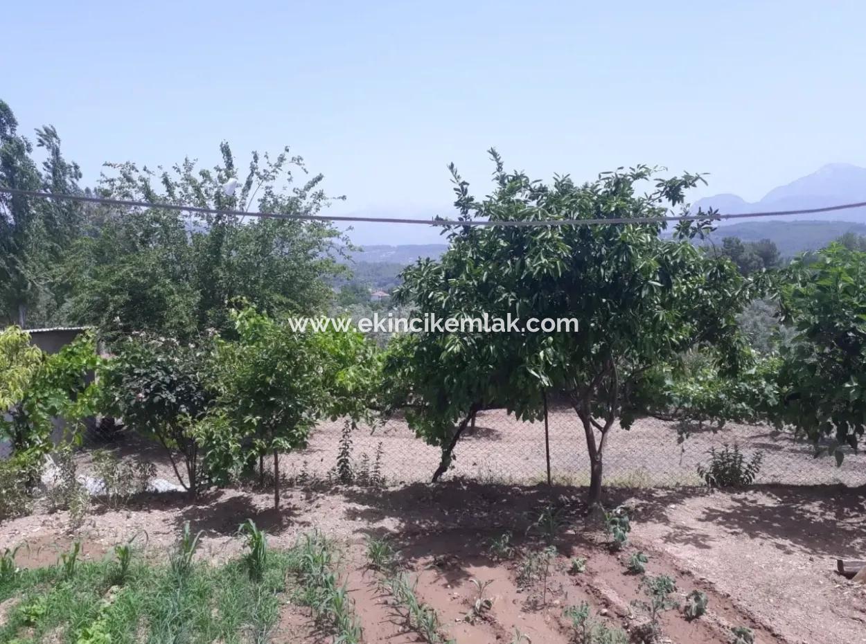 Seydikemer Satılık Müstakil Ev 2211M2 Arsa İcinde 6+2 Satılık Ev