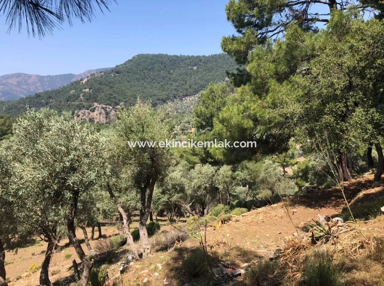 Çandır'da Deniz Manzaralı 7034M2 Satılık Tarla