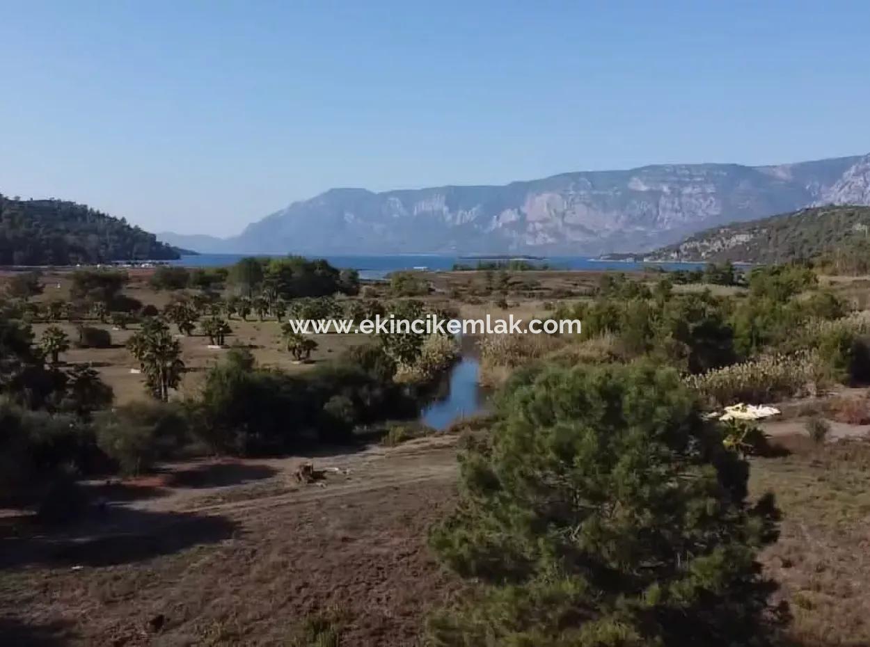 Çamlıda Satılık Arsa Arazi Marmaris Çamlıda Deniz Manzaralı 11720M2 Satılık Arsa