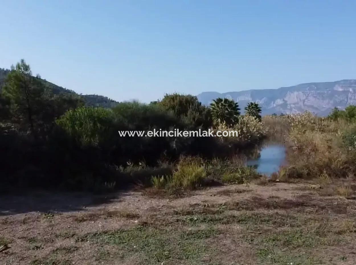 Çamlıda Satılık Arsa Arazi Marmaris Çamlıda Deniz Manzaralı 11720M2 Satılık Arsa