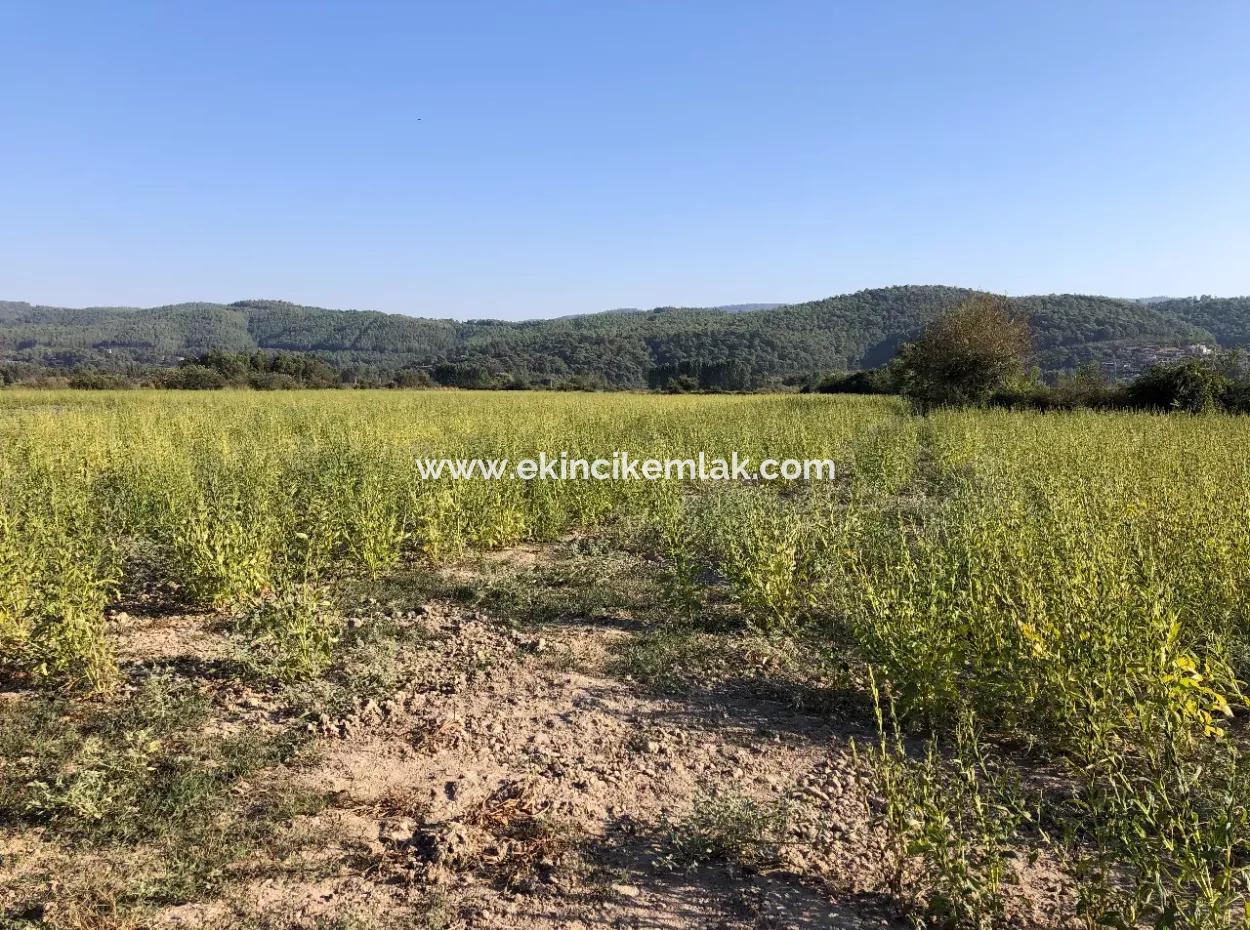 Akçapınarda Satılık Tarla 100 Dönüm Satılık Tarla