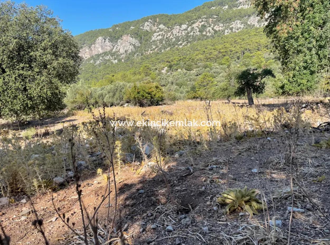 Çandır Deniz Manzaralı 2620M2 Satılık Arazi Tarla