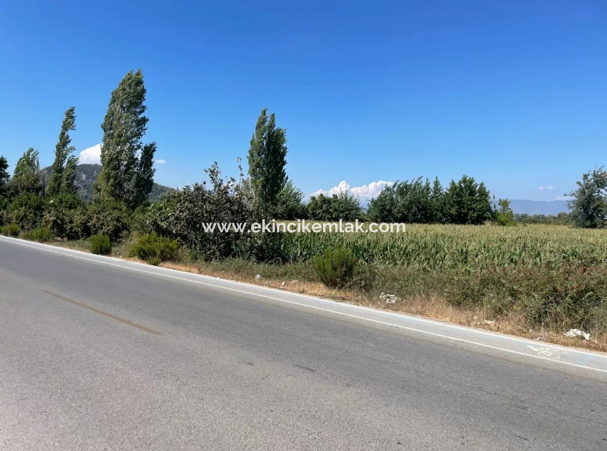 Dalyan Ana Yola Sıfır Satılık 8115M2 Ticari Satılık Arsa