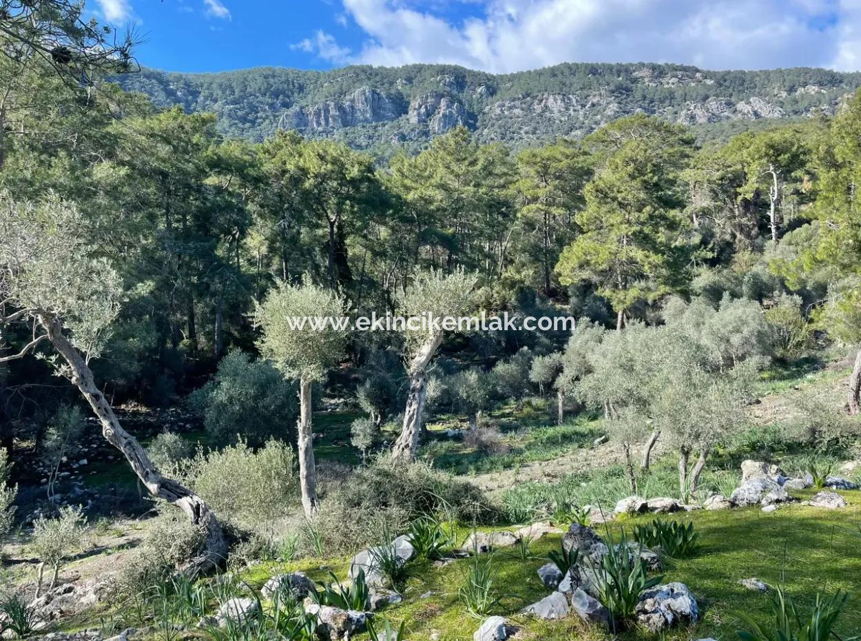 Çandır Da Göl Manzaralı 4000M2 Satılık Tarla