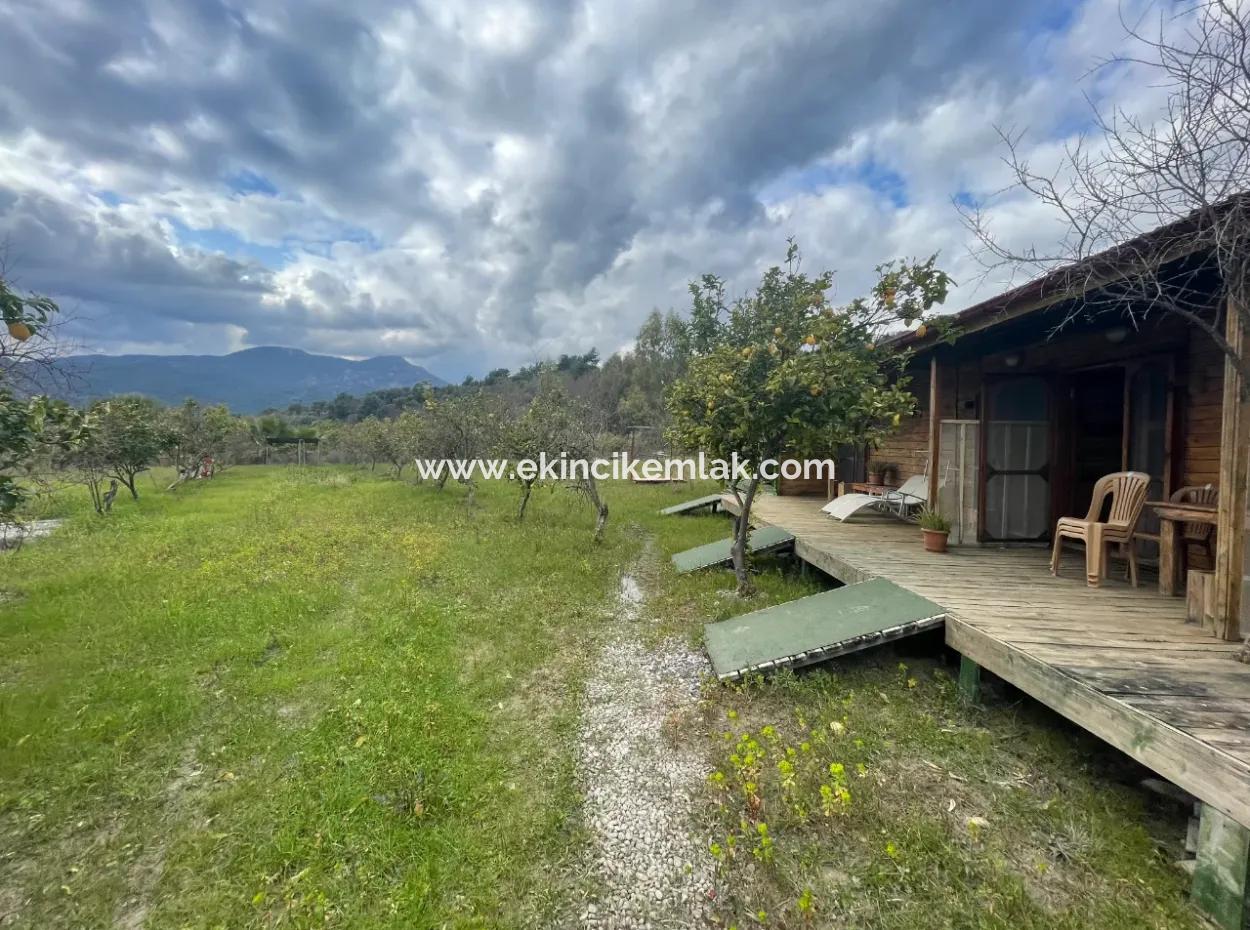 Dalyan Satılık Butik Otel 11.000M2 Arsa İçinde Satılık Bungolevler