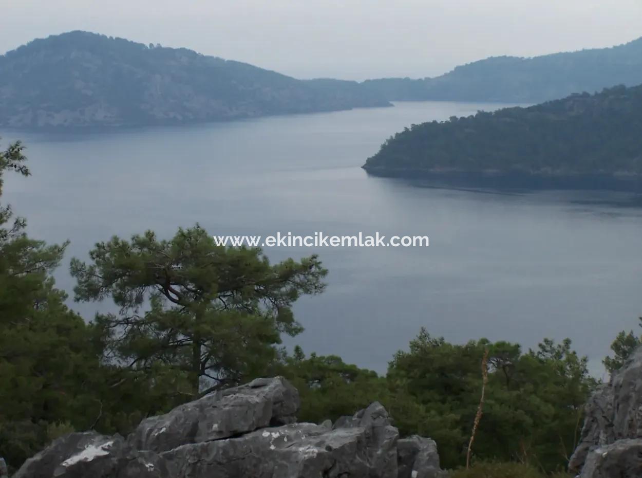 Sarsalada Deniz Manzaralı 4274M2 Arsa İçinde Satılık Taş Ev
