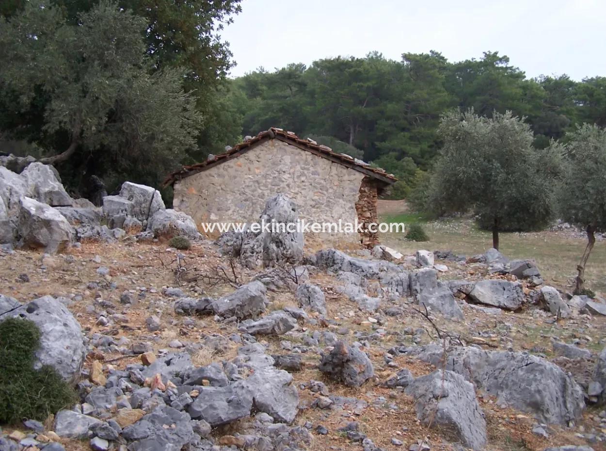 Sarsalada Deniz Manzaralı 4274M2 Arsa İçinde Satılık Taş Ev