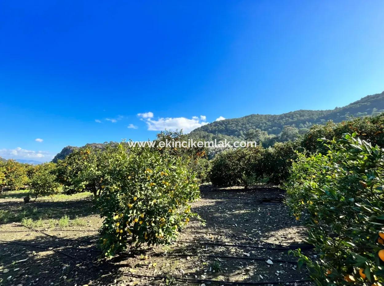 Çandır'da 5000M2 Arsa İçinde Satılık Tek Katlı Ev