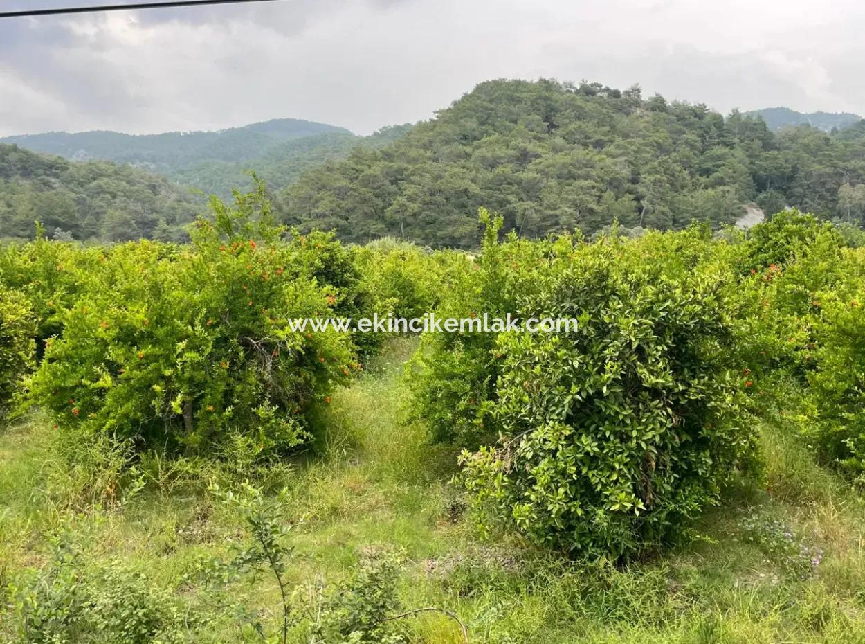 Gökbelde 14,000M2 Satılık Tarla