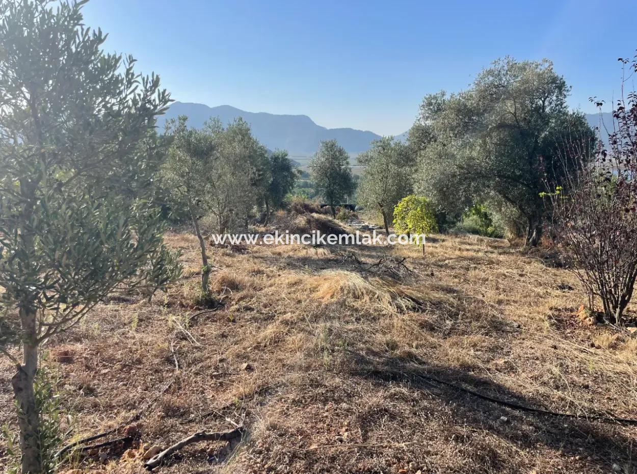 Çandır Full Deniz Ve Göl Manzaralı 500M2 Satılık 2B Tarla