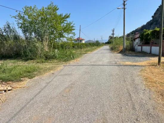 Dalyan Arıkbaşı Ve Gerendüzün'de 10,000M2 Satılık Nar Bahçesi