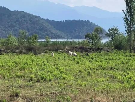 Sultaniye Satılık Arsa Köyceğiz Sultaniye Göle Denize Sıfır Satılık Arsa