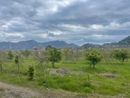 Dalyan Satılık Butik Otel 11.000M2 Arsa İçinde Satılık Bungolevler