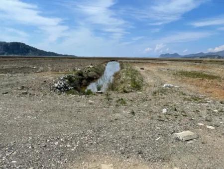 Dalyan İztuzu Plaj Yoluna Sıfır 19,600M2 Satılık Tarla Arazi